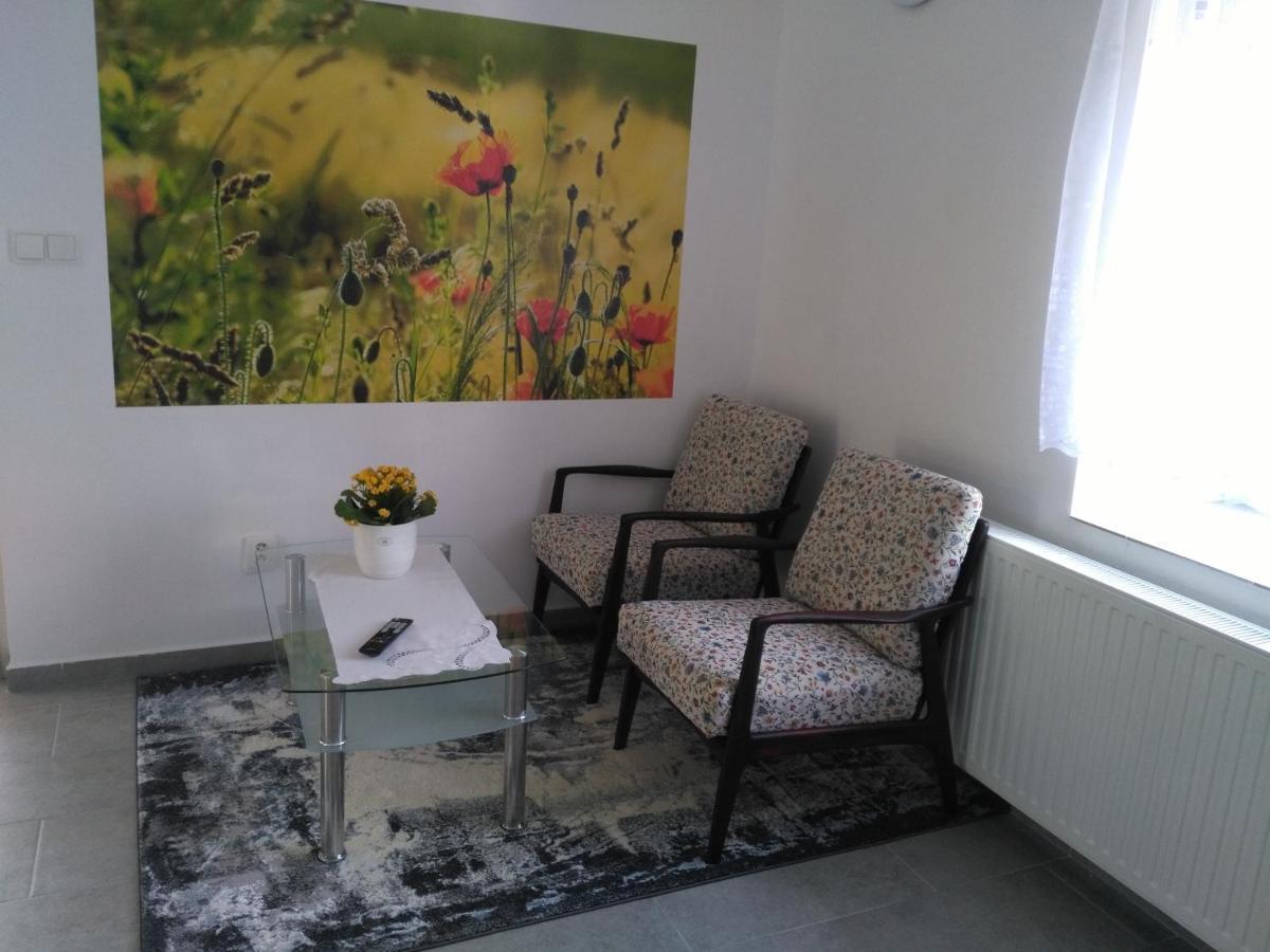 Apartman Gutino Ceska Trebova Extérieur photo